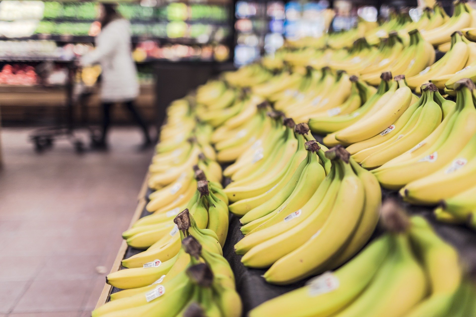 Bananas on display at a supermarket